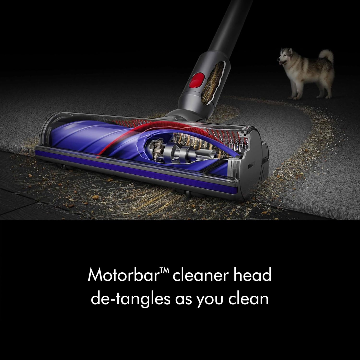 Dyson V8 Cordless Vacuum, Cleans Hard Floors and Carpets, Detangles, Converts to Handheld, 115AW, 2 Power Modes, Up to 40 Minutes¹ woonhhop